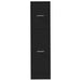 Dulap de farmacie, negru, 30x41x118 cm, lemn prelucrat - WALTI WALTI