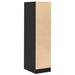 Dulap de farmacie, negru, 30x41x118 cm, lemn prelucrat - WALTI WALTI