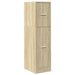 Dulap de farmacie, stejar sonoma, 30x41x118 cm lemn prelucrat - WALTI WALTI