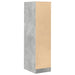 Dulap de farmacie, gri beton, 30x41x118 cm, lemn prelucrat - WALTI WALTI