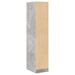 Dulap de farmacie, gri beton, 30x41x144,5 cm, lemn prelucrat - WALTI WALTI