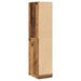 Dulap de farmacie, lemn vechi, 30x41x144,5 cm, lemn prelucrat - WALTI WALTI