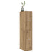 Dulap de farmacie, stejar artizanal, 30x41x144,5 cm, lemn stratificat - WALTI WALTI