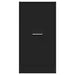 Dulap de farmacie, negru, 40x41x77,5 cm, lemn prelucrat - WALTI WALTI