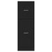 Dulap de farmacie, negru, 40x41x118 cm, lemn prelucrat - WALTI WALTI