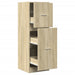 Dulap de farmacie, stejar sonoma, 40x41x118 cm lemn prelucrat - WALTI WALTI
