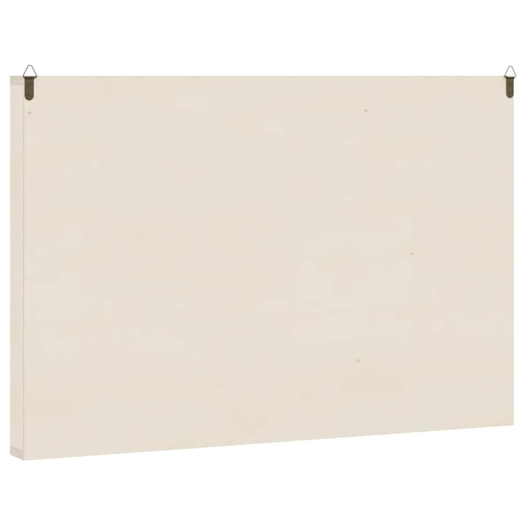 Vitrina de colecție din lemn cu 60 de compartimente - WALTI