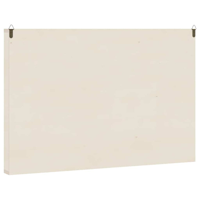 Vitrina de colecție din lemn cu 60 de compartimente - WALTI WALTI