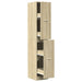 Dulap de farmacie, stejar sonoma, 30x41x174,5 cm lemn prelucrat - WALTI WALTI