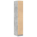 Dulap de farmacie, gri beton, 30x41x174,5 cm, lemn prelucrat - WALTI WALTI