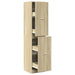 Dulap de farmacie, stejar sonoma, 40x41x174,5 cm lemn prelucrat - WALTI WALTI