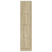 Dulap de farmacie, stejar sonoma, 40x41x174,5 cm lemn prelucrat - WALTI WALTI