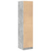 Dulap de farmacie, gri beton, 40x41x174,5 cm, lemn prelucrat - WALTI WALTI