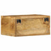 Dulap TV montat pe perete 40x30x19 cm, lemn masiv de mango brut - WALTI WALTI