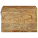 Dulap TV montat pe perete 60x30x19 cm, lemn masiv de mango brut - WALTI WALTI