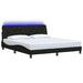 Cadru de pat cu LED fără saltea Negru 180x200 cm Material - WALTI WALTI
