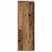 Pantofar, Lemn vechi, 54x34x100,5 cm, lemn compozit - WALTI WALTI