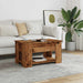 Masuta de cafea Lemn vechi 79x49x41 cm Lemn prelucrat - WALTI WALTI