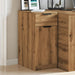 Dulap de birou, stejar artizanal, 33x50x75 cm lemn prelucrat - WALTI WALTI
