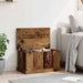 Cutie de depozitare lemn vechi 70x40x38 cm lemn prelucrat - WALTI WALTI