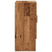 Dulap de perete, lemn vechi, 60x31x70 cm, lemn compozit - WALTI WALTI