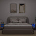 Comode TV perete cu lumini LED 2 buc. lemn vechi 30x28,5x30 cm - WALTI WALTI