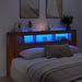 Tăblie de pat cu LED, stejar artizanal, 200x18,5x103,5 cm, lemn - WALTI WALTI
