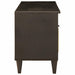 Cabinet TV Negru și Aur 100 x 33 x 46 cm Lemn masiv de mango - WALTI WALTI