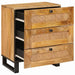 Dulap de noapte natural 50 x 33 x 60 cm Lemn de mango solid - WALTI WALTI
