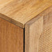 Bufet cu depozitare Maro 60 x 33 x 75 cm Lemn de mango solid - WALTI WALTI