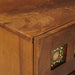 Dulap de noapte Maro 40 x 33 x 46 cm Lemn de mango solid - WALTI WALTI