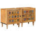 Dulap de noapte 2 pcs natural 40 x 33,5 x 46 cm - WALTI WALTI