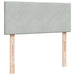 Cadru de pat otoman cu saltea Gri deschis 120x200cm catifea - WALTI WALTI