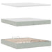 Cadru pat otoman cu saltea Gri deschis 200x200 cm catifea - WALTI WALTI