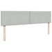 Cadru pat otoman cu saltea Gri deschis 200x200 cm catifea - WALTI WALTI