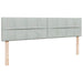 Cadru pat otoman cu saltea Gri deschis 200x200 cm catifea - WALTI WALTI
