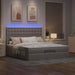  WALTI