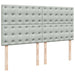Cadru de pat otoman cu saltele Gri deschis 180x200cm catifea - WALTI WALTI