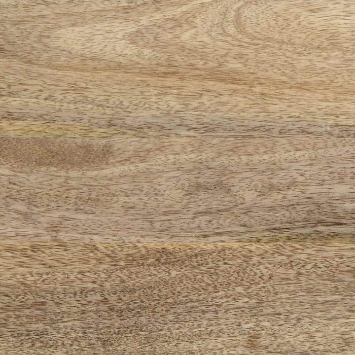 Comodă TV, 100x33,5x46 cm, lemn masiv de mango - WALTI WALTI