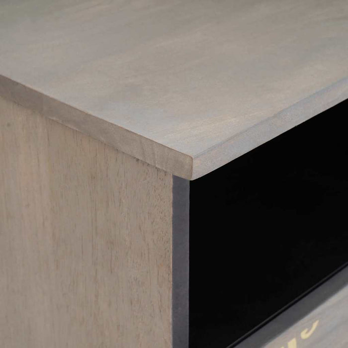 Cabinet TV cu sertar Gri 100 x 33 x 46 cm Lemn de mango solid - WALTI WALTI