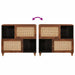 Bufet Maro 80 x 33.5 x 75 cm Ratan și lemn solid de mango - WALTI WALTI