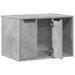 Cutie litieră pisici gri beton 60x40x40 cm lemn prelucrat - WALTI WALTI