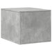 Cutie litieră pisici gri beton 47x59x42 cm lemn prelucrat - WALTI WALTI