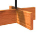 Brad de Crăciun decorativ, maro ceruit, 60 cm, lemn pin masiv - WALTI WALTI