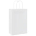 Pungi de hârtie 250 buc cu mânere albe 21x11x31 cm - WALTI WALTI