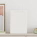 Pungi de hârtie 250 buc cu mânere albe 32x17x44 cm - WALTI WALTI