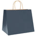 Pungi de hârtie 250 buc cu mânere Albastre 32x22x24 cm - WALTI WALTI