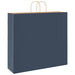 Saci de hârtie 250 buc cu mânere Albastru 54x15x49 cm - WALTI WALTI