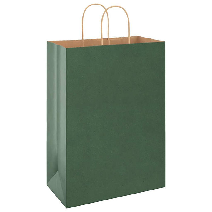 Pungi de hârtie 250 buc cu mânere verde 32x17x44 cm WALTI
