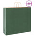Pungi de hârtie 250 buc cu mânere verde 54x15x49 cm - WALTI WALTI